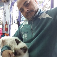 Reparaciones en general 