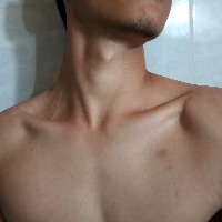 Cualquier servicio requerido. 