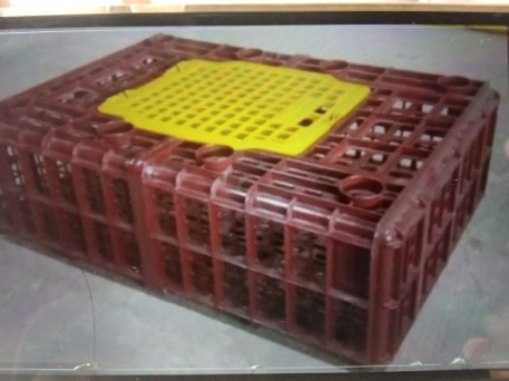 Guacales para transportar pollos