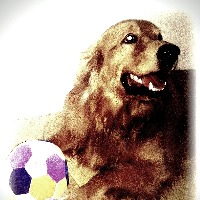 hago sus compras y llevo productos a domicilio 