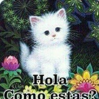 Elaboracion Protocolos Bioseguridad