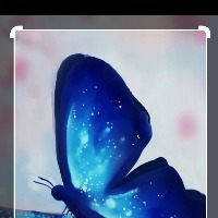 Hacer mi página web