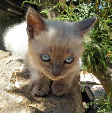 Una habitación sencilla